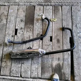 Fekon glusitel Dokma