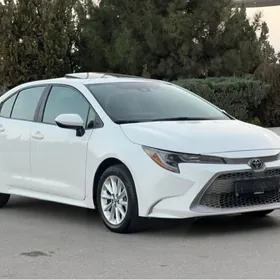 Toyota Corolla 2023