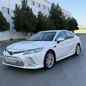 Toyota Camry 2019