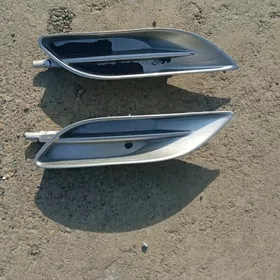 sienna tumanka plasmas