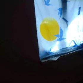 kwartrant alyan 1 komat arassa