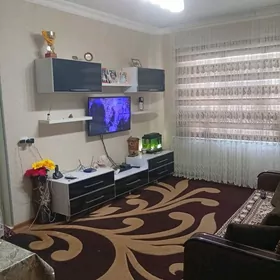 1ком гауданка