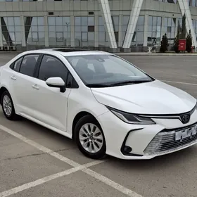 Toyota Corolla 2021