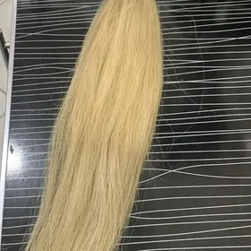 Сатлык сачлар