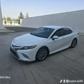 Toyota Camry 2020