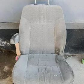 Sienne 2002 Şafyor sidenlisi