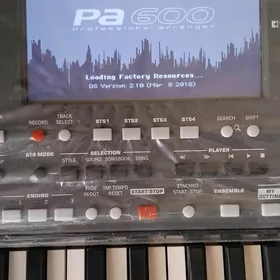 Blok korg pa600