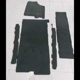 Sienna kowrik 2018.19.20madel