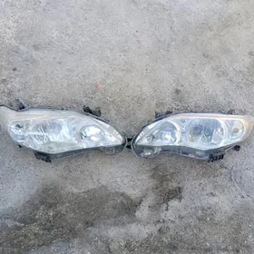 12korolla onki faralary haliji