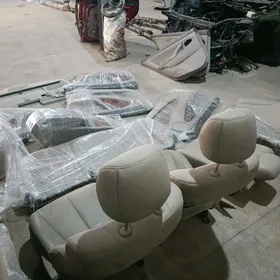 Sidenya Öküz kelle Xle