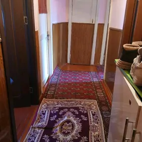 hitrowka mir graždan