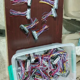 yewropeyka fara STEKR