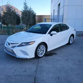 Toyota Camry 2019