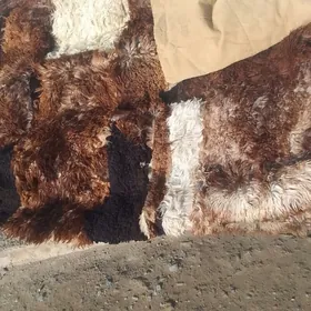 Gadym silkme deri yorgan