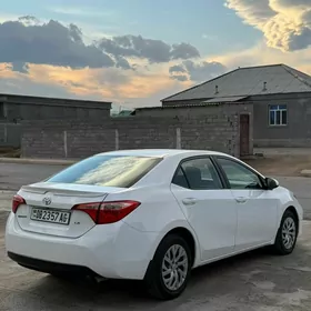 Toyota Corolla 2019
