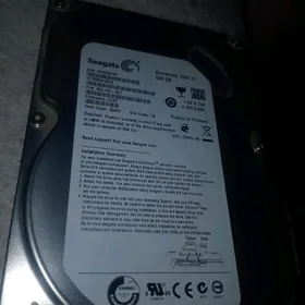 Žostkiý disk 500GB
