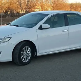 Toyota Camry 2013