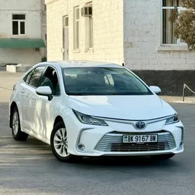 Toyota Corolla 2021