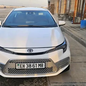Toyota Corolla 2023