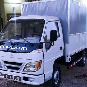 Forland H2 2010