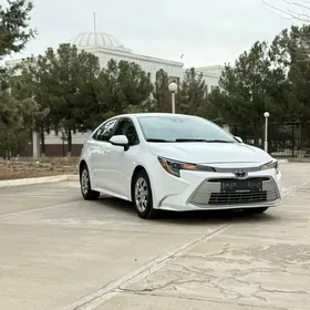 Toyota Corolla 2023