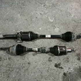 Granat ,, Sienna,, 2017 morda