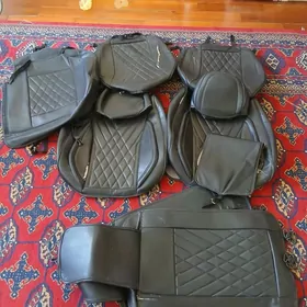 Çehol koja uniwersal