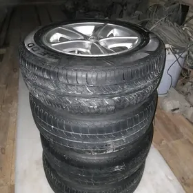 15lik diska pakryska