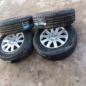 disga pokrisga grand