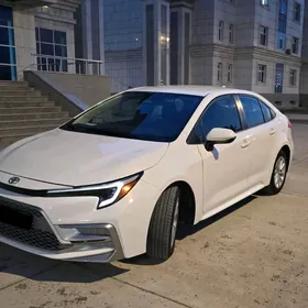 Toyota Corolla 2023