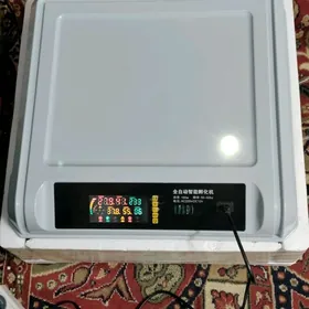 Inkubator . Инкубатор