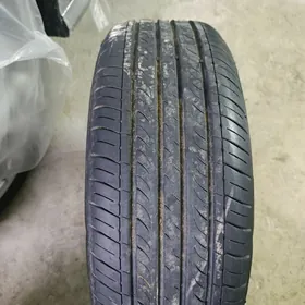 14 lik dissga pakrişga