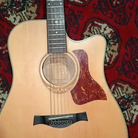 Gitara Akustiki elektron