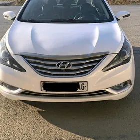 Hyundai Sonata 2010