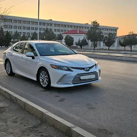 Toyota Camry 2023