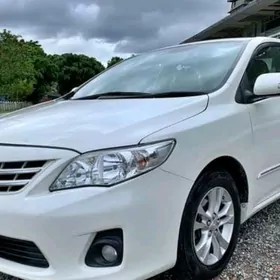 Karolla 2012 magnitafon