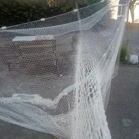 Сузме тор, бреден.