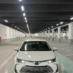 Toyota Corolla 2021