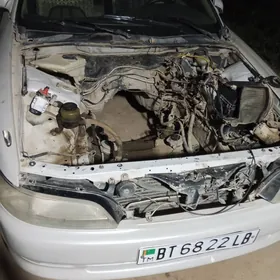 2лик Марк кампйутер