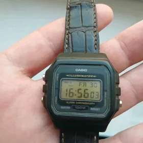 Sagat Casio ILLUMINATOR GADYMY