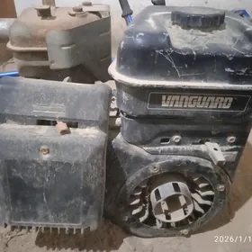 vanguar yer surulyan diwigteli