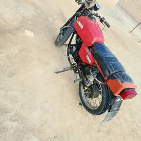 Fekon FK200-14G 2024