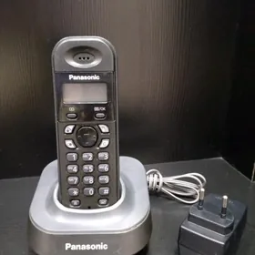 Panasonic