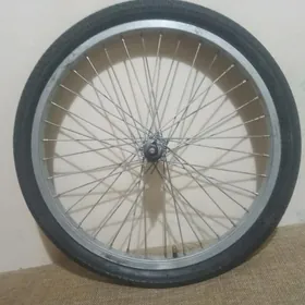 kama tigil onki tigir