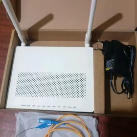 Gpon router