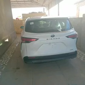 Toyota Sienna 2022