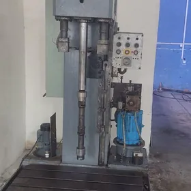 Gilza gyrýan stanok