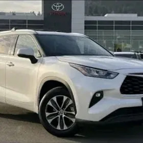 xle haylander original diska t