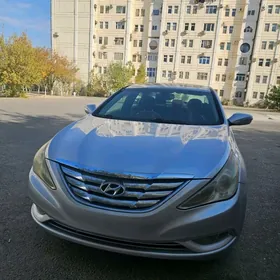 Hyundai Sonata 2010