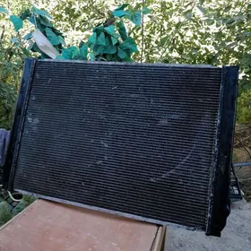 РАДИАТОР. СЕННА